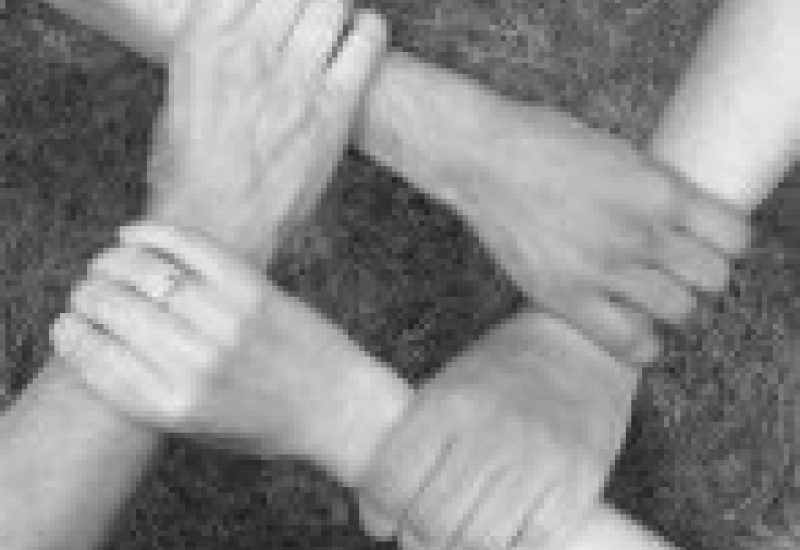 Pra Vida - Um nova perspectiva