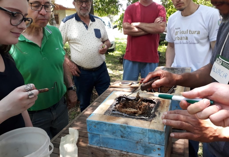 Pra Vida - Apicultores participam de capacitação