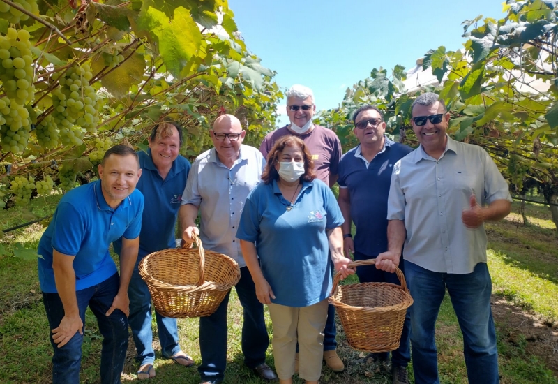 Pra Vida - Presidente da Acic participou da abertura da Temporada de Colheita da Uva