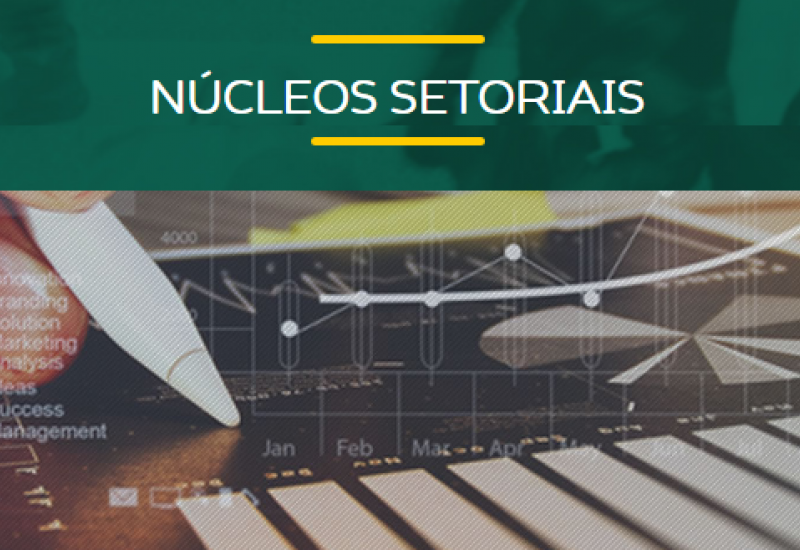 Pra Vida - Planejamento estratégico é destaque em reuniões dos Núcleos Setoriais