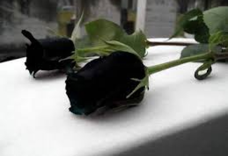 Pra Vida - Nota de Pesar