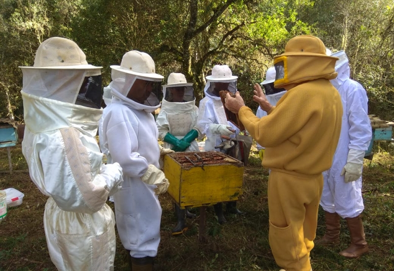 Pra Vida - Núcleo de Apicultores recebe capacitação