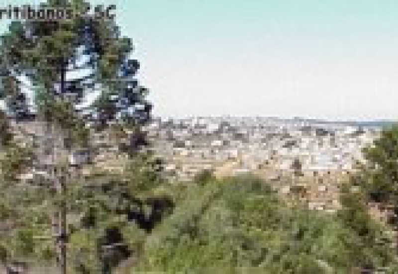 Pra Vida - Curitibanos 140 anos