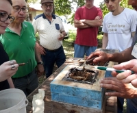Acic Curitibanos - Apicultores participam de capacitação