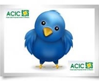 Acic Curitibanos - ACIC adere a rede social
